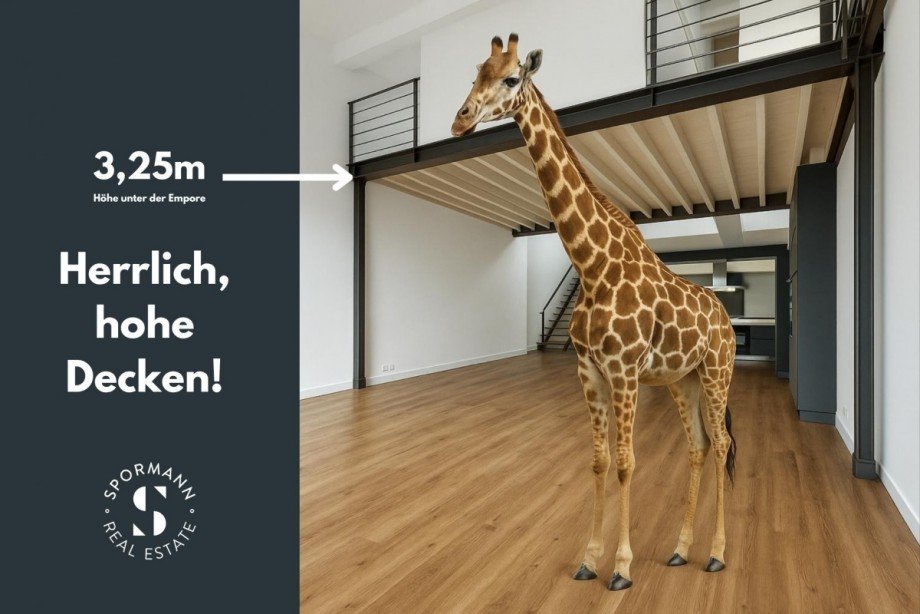 herrliche, Deckenho Loft-Studio-Atelier D�sseldorf