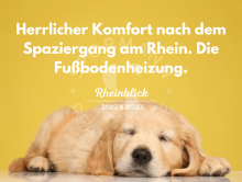Fu�bodenheizung Rheinblick